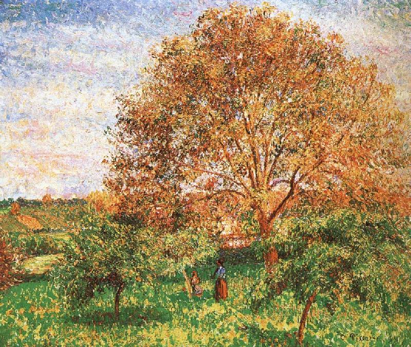 Camille Pissarro Red sky under the apple tree china oil painting image